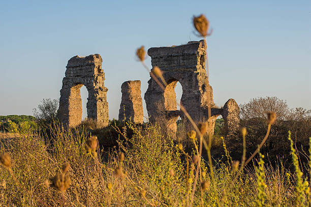 istock Aqueduct Park, Rome, Italy 610873984
