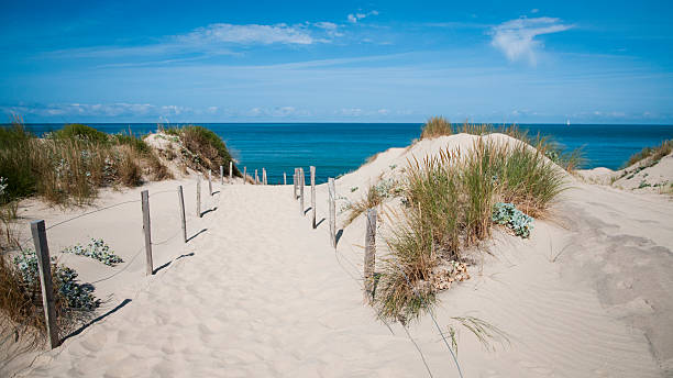Sand dune - France Sand dune waterfront in Nouvelle-Aquitaine - France atlantic ocean stock pictures, royalty-free photos & images