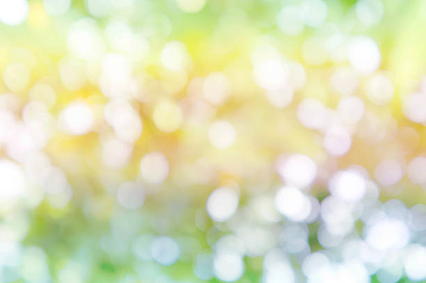 istock abstract bokeh background style, nature colorful blur background 610878472