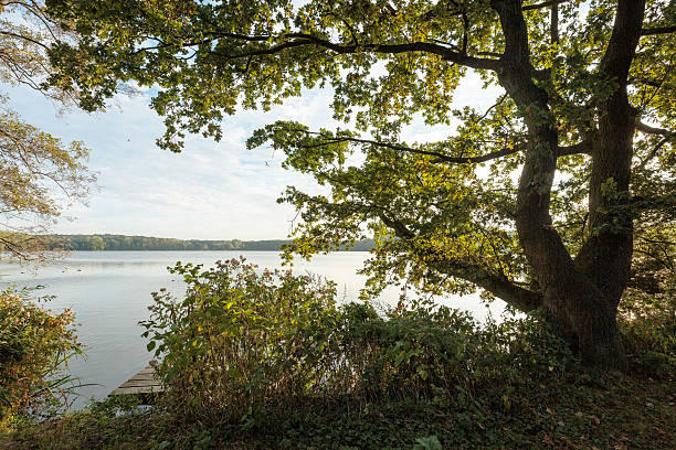 istock Beautiful View at Lake Krickenbeck/ Germany 610881170