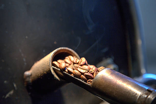Fresh batch of Arabica coffee beans in the cooling bed of a micro roaster at a small gourmet coffee shop.  Aroma filled smoke and steam are rising from the hot beans