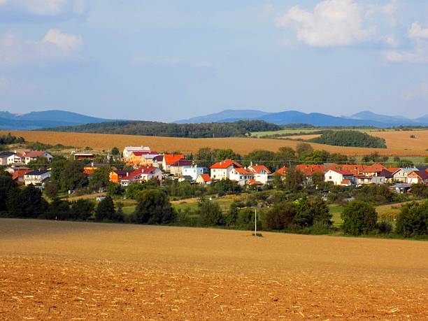 istock Field, deciduous forest and village 610882022