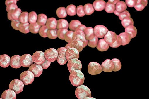 Bacteria Streptococcus, gram-positive spherical bacteria isolated on black background. 3D illustration