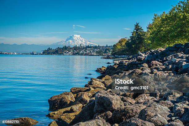 Shoreline And Rainier Stock Photo - Download Image Now - Tacoma, Mt Rainier, Puget Sound
