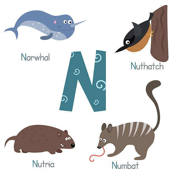 Cute zoo alphabet Cute vector zoo alphabet. Funny cartoon animals nutria rodent animal alphabet stock illustrations