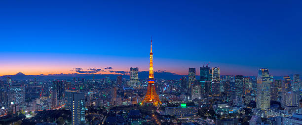istock Tokyo area dense building nightscape and Tokyo tower 610884046