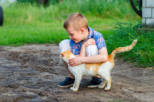 istock smiling little boy affectionately embraces a red cat. outdoor 610944398