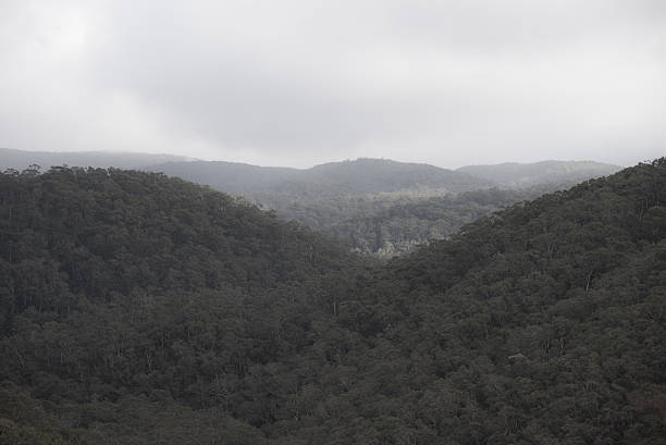 istock View at Great Ocean Road, Australia 610944788