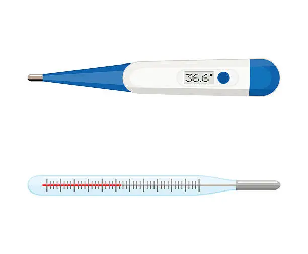 Vector illustration of medical thermometer, digital and mercury