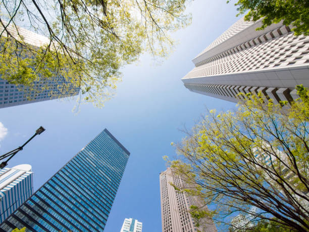istock Cityscape in Shinjuku 610945360