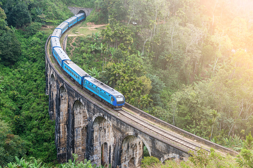 Blue train goes through jungle, slight motion blur