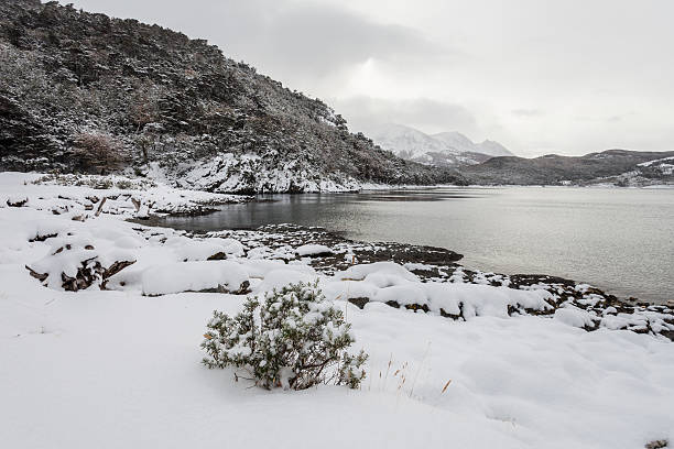 Tierra del Fuego National Park in winter. Tierra del Fuego is a national park on the Argentine part of the island of Tierra del Fuego near the Ushuaia in Argentina.