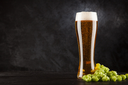 Beer glass with malt and hops, dark background