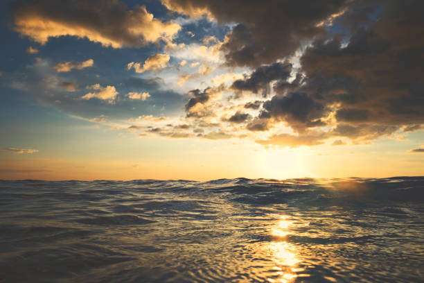 istock At the ocean in sunset 610953868