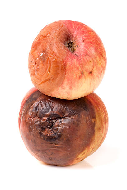 istock two rotten apple isolated on a white background 610953934