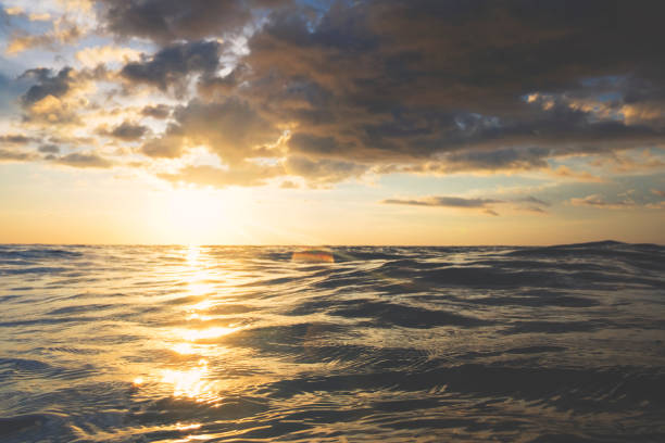 istock At the ocean in sunset 610953986