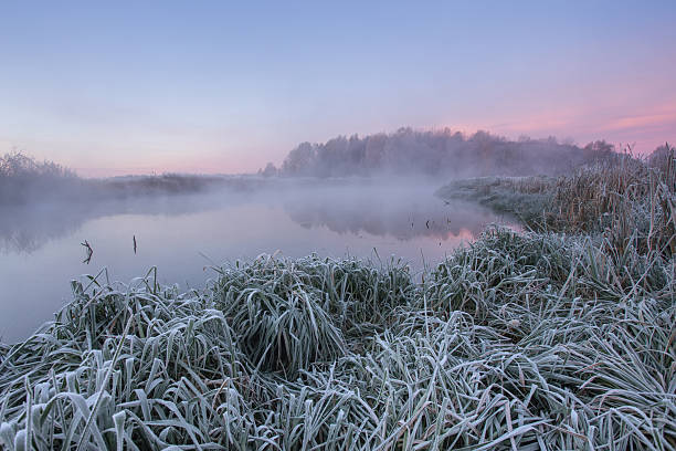 istock Frost on grass in cold autumn morning 610954962