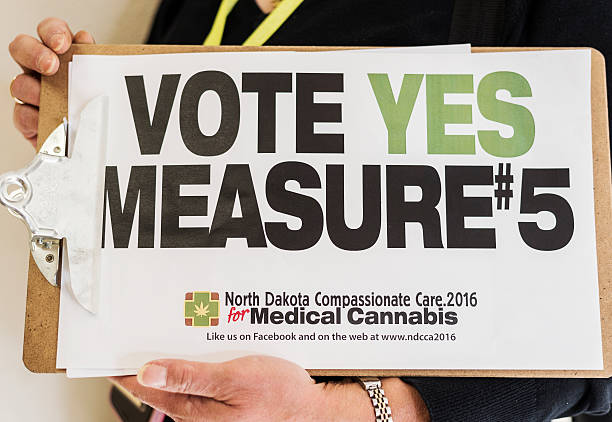 Activist for medical marijuana holding political sign Moorhead, Minnesota, United States - September 14, 2016: Political activist holding up clipboard urging people to vote for the North Dakota Compassionate Care Act in November, 2016. The act, known as Measure #5, would allow certain patients with dehabilitating conditions to obtain medical marijuana.  ballot measure stock pictures, royalty-free photos & images