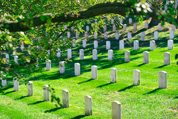 árbol que sobresale green grassy cementerio en la colina - cemetery grave military beauty in nature fotografías e imágenes de stock