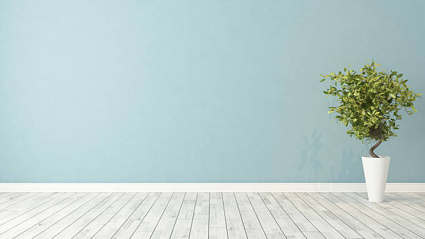 empty room with plant blue wall empty room with green plant in vase 3d rendering domestic room stock pictures, royalty-free photos & images