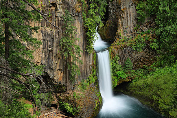 istock Toketee Falls in Oregon 610958698