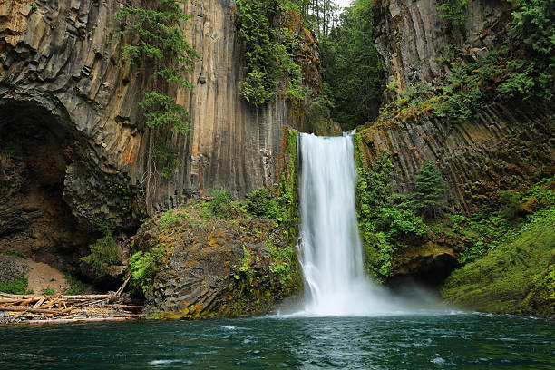 istock Toketee Falls in Oregon 610958790