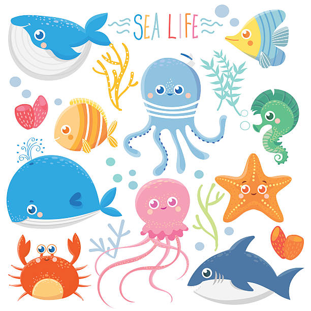 ilustraciones, imágenes clip art, dibujos animados e iconos de stock de vida marítima - starfish underwater sea fish