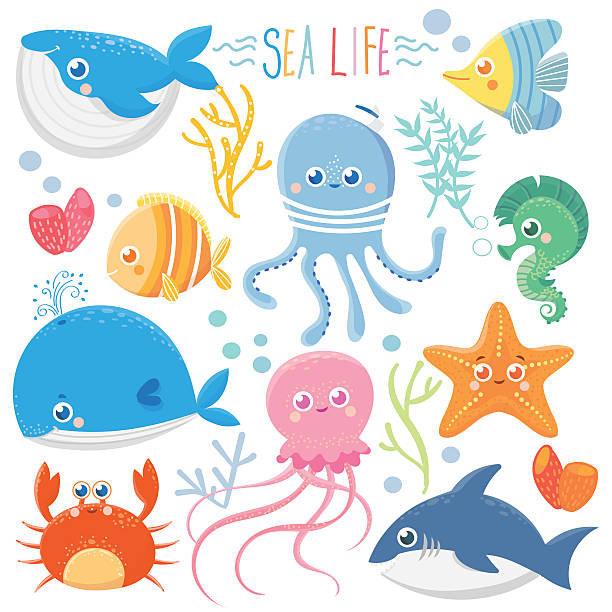 Cartoon Sea Animals Stock Photos, Pictures & Royalty-Free Images - iStock Cartoon Sea Animals Stock Photos, Pictures & Royalty-Free Images - iStock
