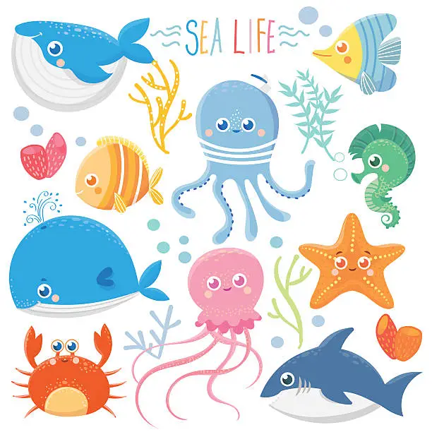 Vector illustration of Sea life