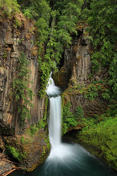 istock Toketee Falls in Oregon 610959390