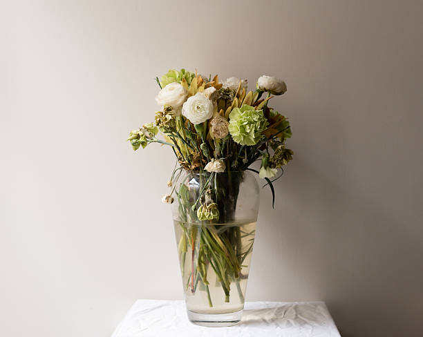 Wilting green and white ranunculus and carnations in large glass vase on small white table