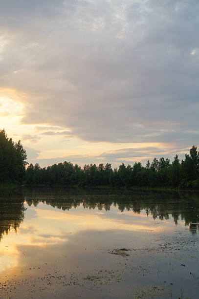 istock Beautiful sunset on the river landscape background 610959446
