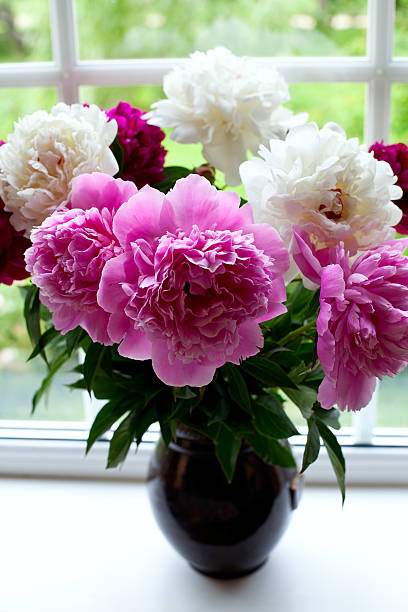istock vase with colorful peonies on window-sill 610960170