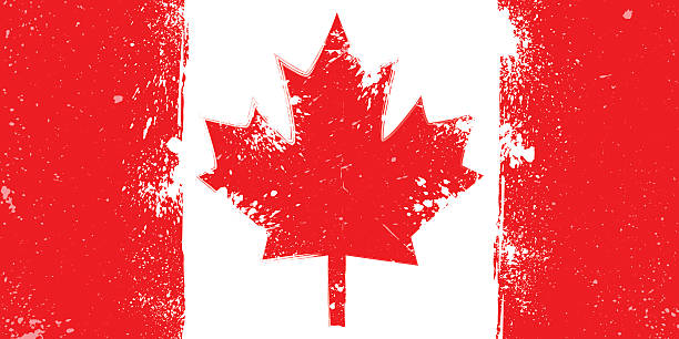 grunge flaga kanada z splash i plamy - flag canadian flag patriotism national flag stock illustrations