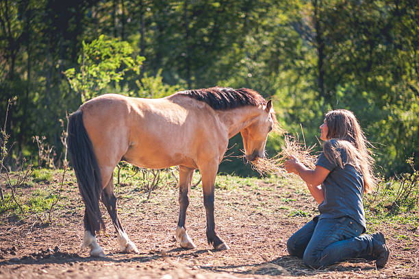 istock Man Kneeling and Feeding the Horse 610963220