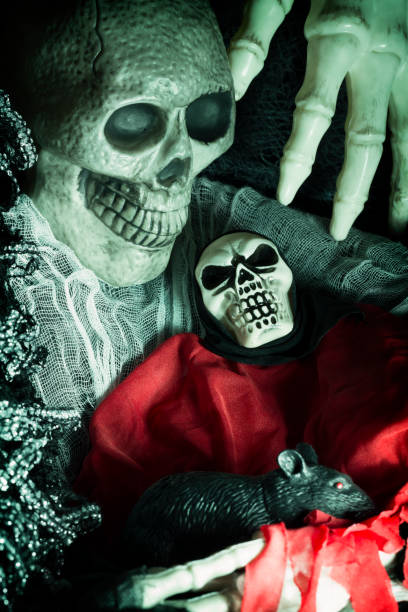 istock Skeleton Family with Pet Rat 610966206