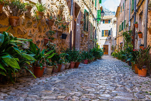 istock Plant Street in Valldemossa, Majorca 610968938