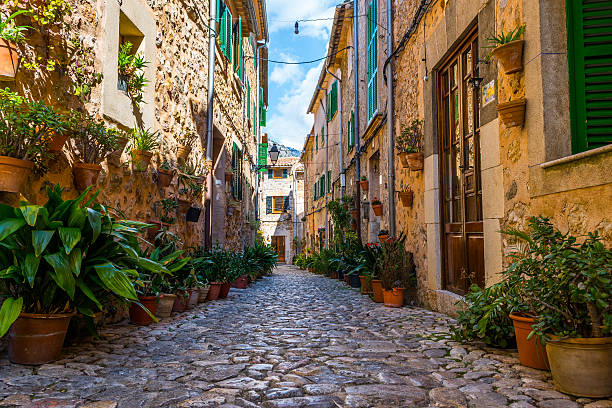 plant street à valldemossa, majorque - valldemossa photos et images de collection