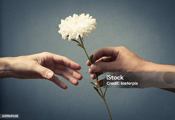 Hand Giving Hand A Flower Stock Photo - Download Image Now - Giving, Single Flower, Delivering