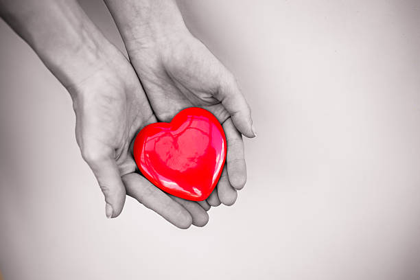 mão segurando o coração  - heart shape healthy lifestyle valentines day romance - fotografias e filmes do acervo