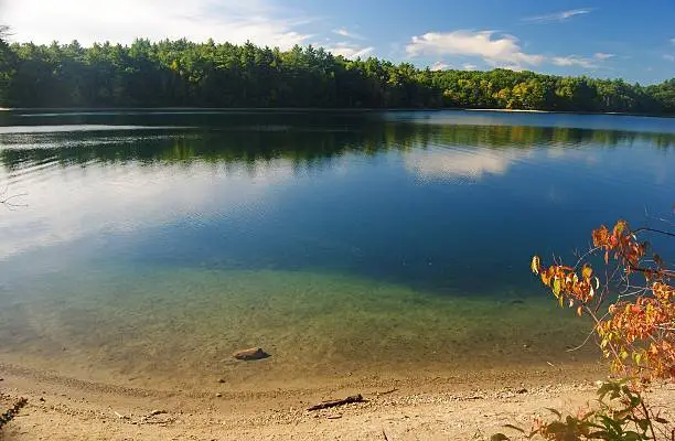 Photo of The Walden Pond in Massachusetts, USA.