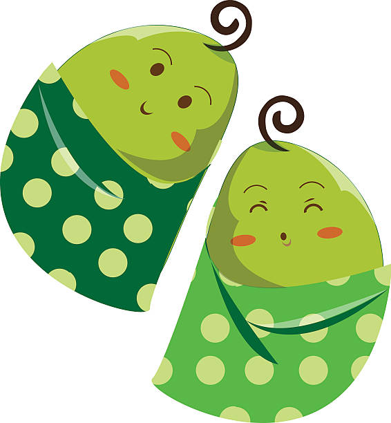 illustrations, cliparts, dessins animés et icônes de haricot bébé - pea pod