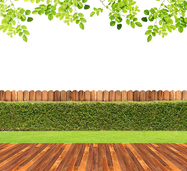 istock Lawn and wooden floor with hedge isolated background 610978190
