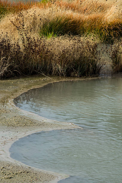 Yellowstone National Park Mud Flats Mud flats and marshland at Mud Volcano, Yellowstone National Park mud volcano yellowstone stock pictures, royalty-free photos & images
