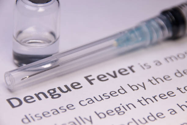 Dengue fever stock photo
