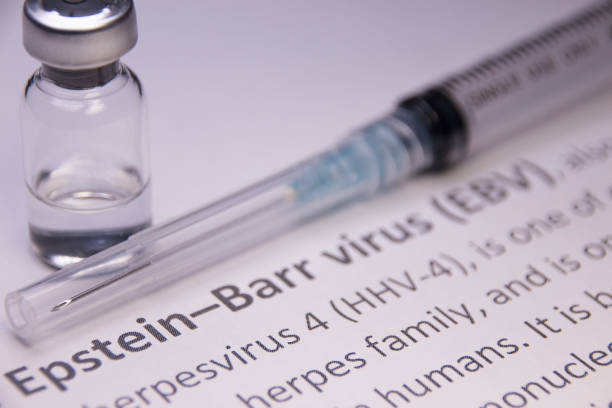 Epstein–Barr virus Epstein–Barr virus vaccine under research. epstein barr virus photos stock pictures, royalty-free photos & images