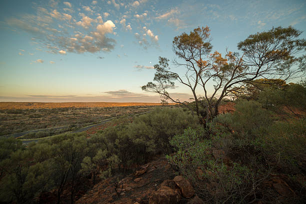 coucher du soleil dans l’outback australien - australia nature kings canyon northern territory photos et images de collection