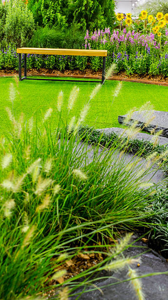 istock Relaxing area in cozy garden. 610982000