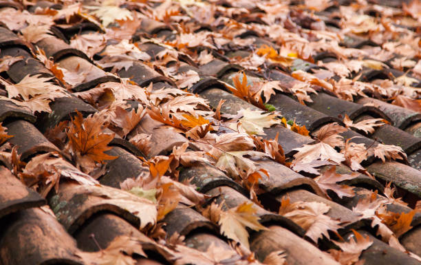 istock Lots of autumn leaves on a roof 610982336