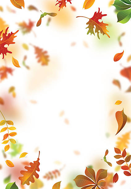 illustrations, cliparts, dessins animés et icônes de l’automne vectoriel laisse un fond flou. - september wind november chestnut